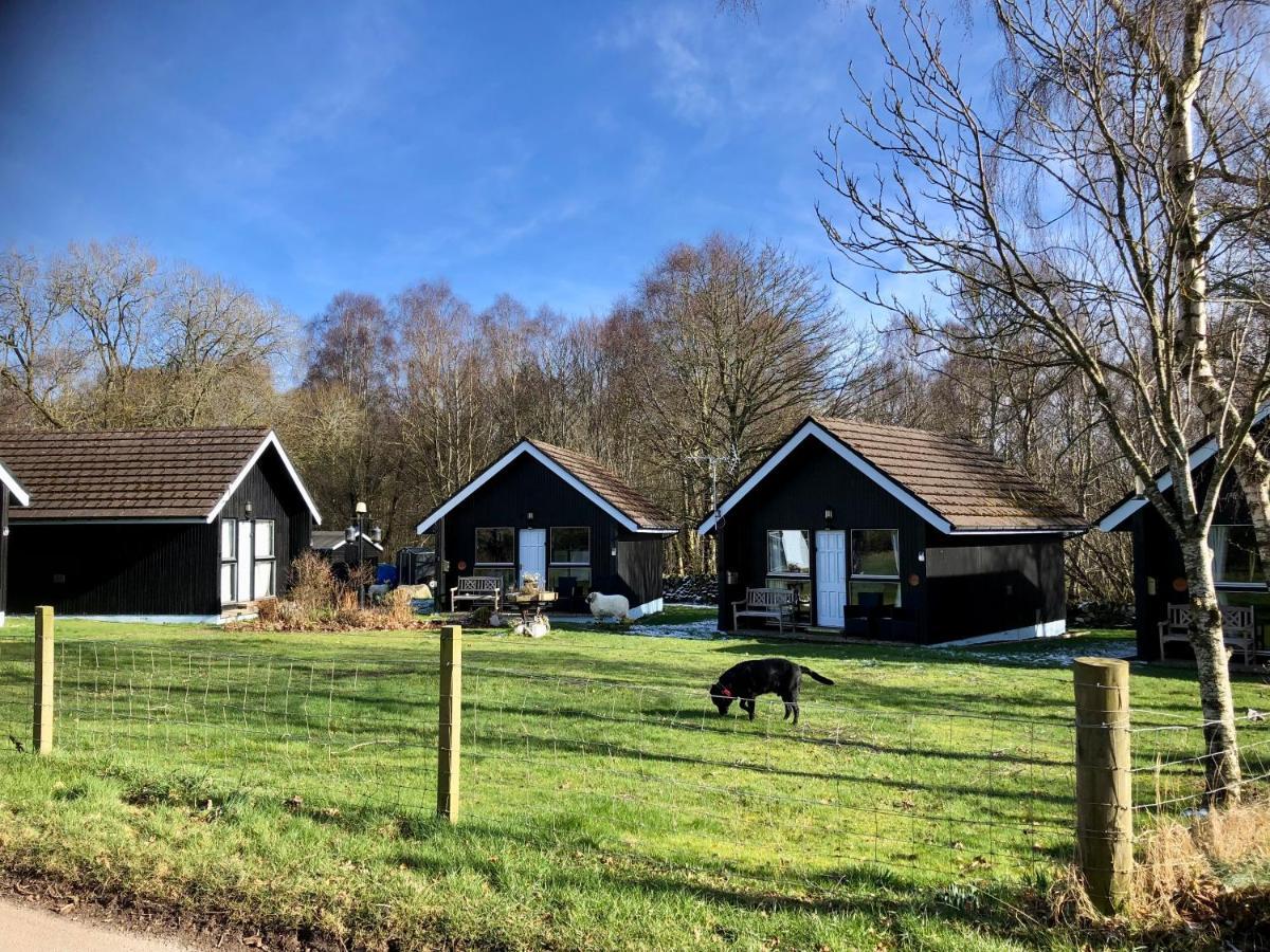 Kilcoy Chalets Muir of Ord Εξωτερικό φωτογραφία